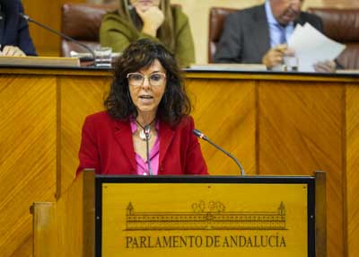 Mara ngeles Prieto, del Grupo Socialista, interpela al consejero de Sanidad con una cuestin relativa a poltica general en materia de salud mental 