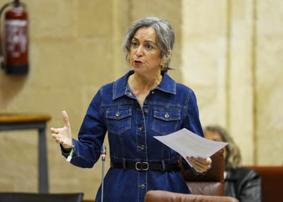  Miren Begoe Iza, presidenta del G.P. Mixto-Adelante Andaluca, inicia la sesin de control al Gobierno con una pregunta relativa a la cobertura sanitaria en Palma del Ro