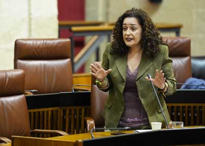 Inmaculada Nieto, portavoz del G.P. Por Andaluca, pregunta al presidente sobre la prdida de credibilidad del Gobierno andaluz 