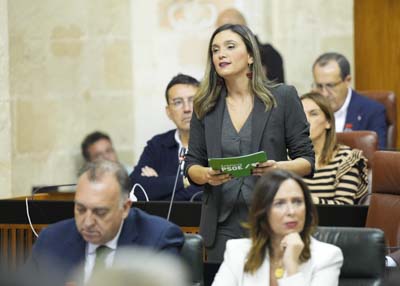Mara Mrquez, portavoz del G.P. Socialista, pregunta al presidente de la Junta de Andaluca sobre las preocupaciones de las andaluzas y los andaluces 