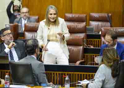 Mara Remedios Olmedo, del Grupo Popular, pregunta sobre el refuerzo en inversin para la educacin especial 