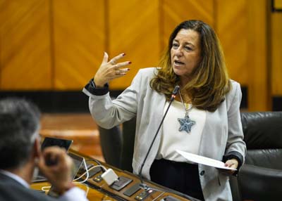 Mara del Carmen Castillo, consejera de Desarrollo Educativo y Formacin Profesional, responde a la pregunta  