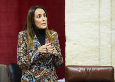 La diputada Vernica Martos, del Grupo Parlamentario Popular, pregunta sobre el balance de las comisiones provinciales contra la violencia de gnero
