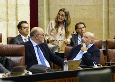 Montserrat Cervantes, del G.P. Vox, interpela a la consejera de Cultura sobre la proteccin del patrimonio cultural de Andaluca 