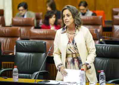 Contesta a la cuestin la consejera de Sostenibilidad y Medio Ambiente, Catalina Garca 