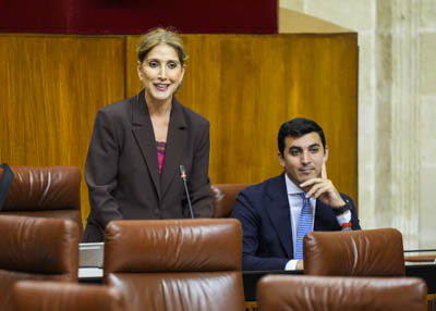 Por el Grupo Popular, la diputada Julia Ibez pregunta sobre los presupuestos de la Consejera de Industria, Energa y Minas para 2026 