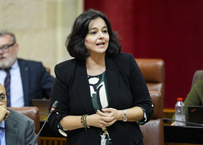 Virginia Prez, del G.P. Popular, cierra la sesin de control con una cuestin relativa a avances en la Ciudad de la Justicia de Sevilla  