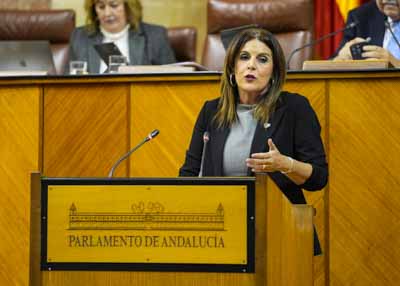 Mara de los ngeles Frriz, portavoz adjunta del Grupo Socialista, inicia la solicitud de creacin de una Comisin de Investigacin sobre la gestin de la deteccin precoz de cncer del SAS firmada por tres grupos parlamentarios