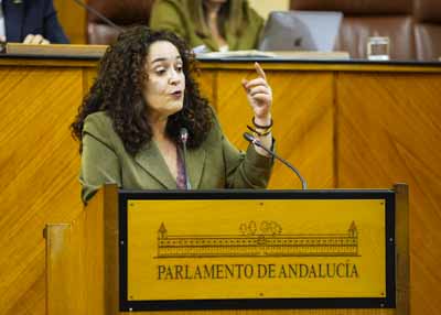  Inmaculada Nieto, portavoz del Grupo Por Andaluca, interviene en la solicitud de creacin de la comisin de investigacin firmada de forma conjunta por tres grupos parlamentarios 