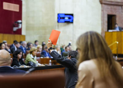 Detalle de una de las votaciones que se han producido en el da de hoy  