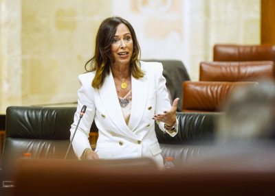 Roco Daz, consejera de Fomento, Articulacin del Territorio y Vivienda, responde 