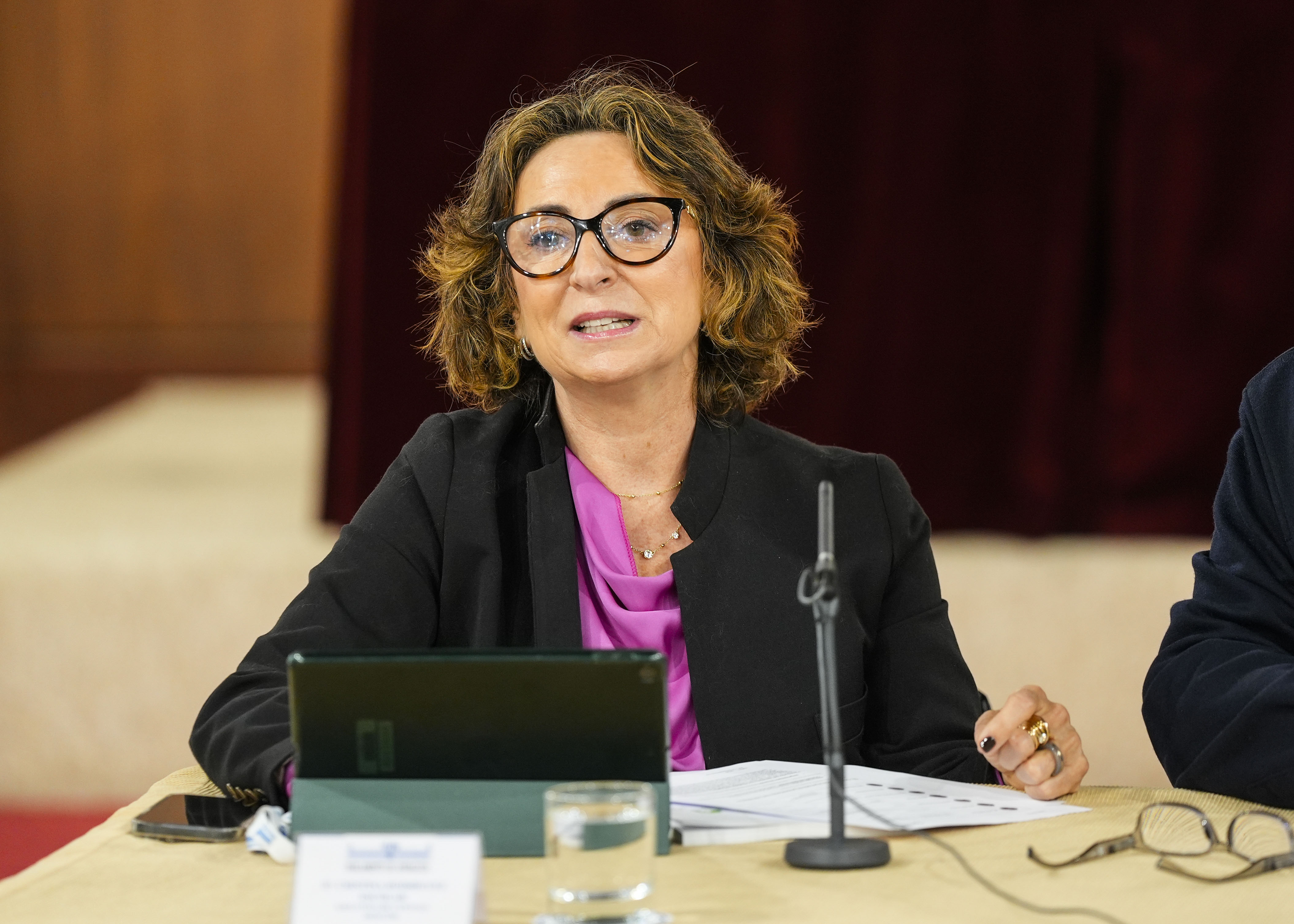 Intervencin de Cristina Rodrguez Escolar, responsable de relaciones institucionales y acceso al mercado de Dexcom 