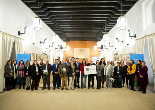   Previo al acto de izado de la bandera, el Consejo Andaluz del Pueblo Gitano se reuni� en pleno en la sala Alberto Jim�nez-Becerril