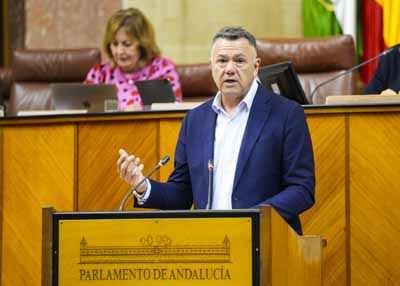 Para posicionar al Grupo Por Andaluca respecto del proyecto de ley toma la palabra su portavoz adjunto, Juan Antonio Delgado 