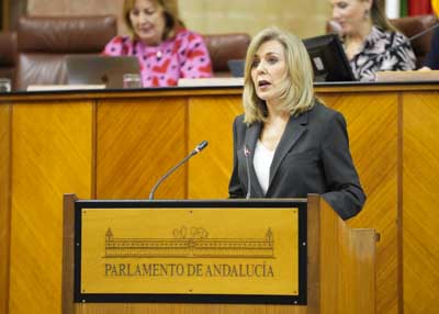 Ana Mara Romero posiciona al Grupo Parlamentario Socialista en el debate del proyecto de ley  