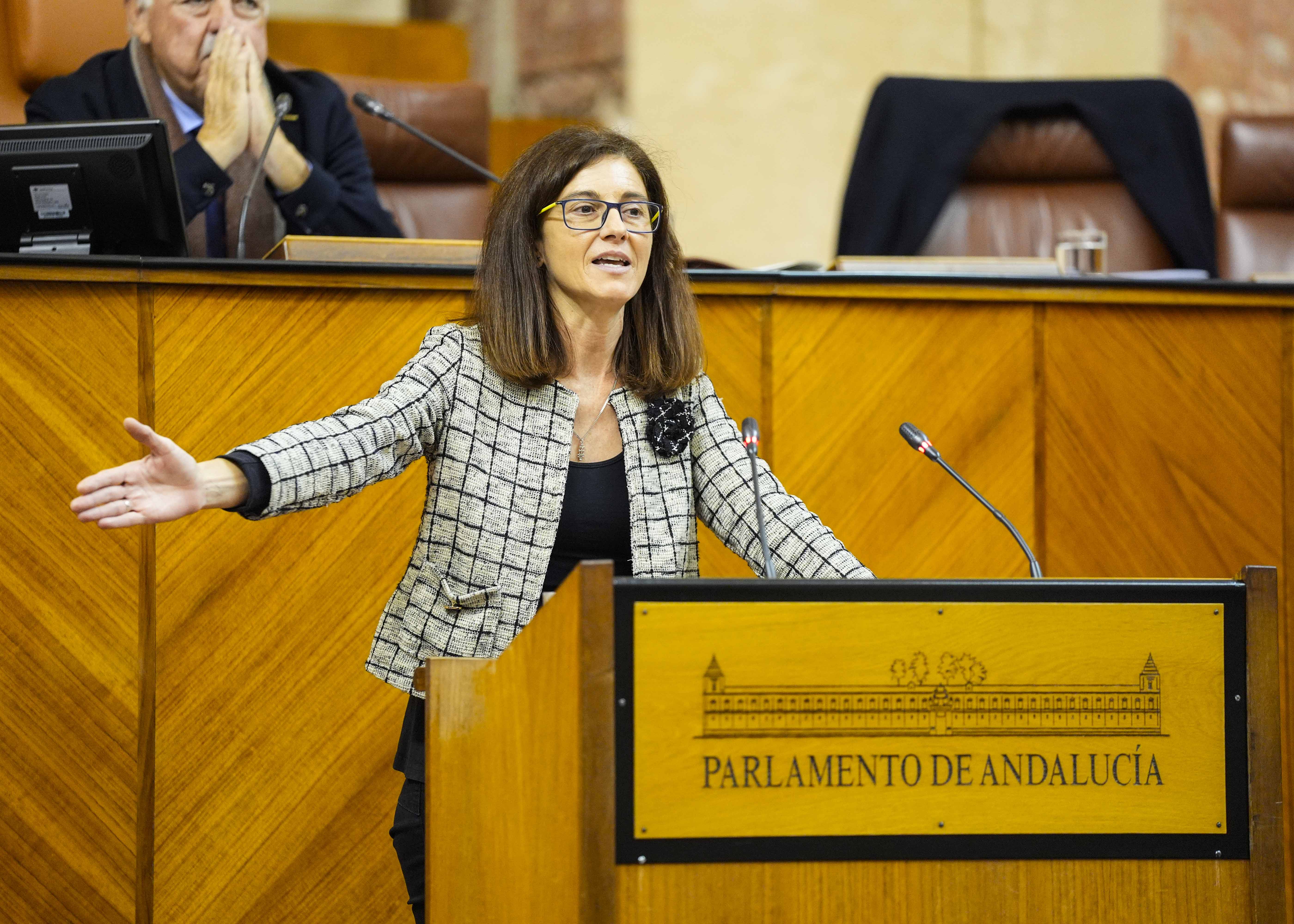 Posiciona en el debate del proyecto de ley al G.P. Socialista la diputada Mara del Pilar Navarro 