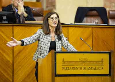 Posiciona en el debate del proyecto de ley al G.P. Socialista la diputada Mara del Pilar Navarro 