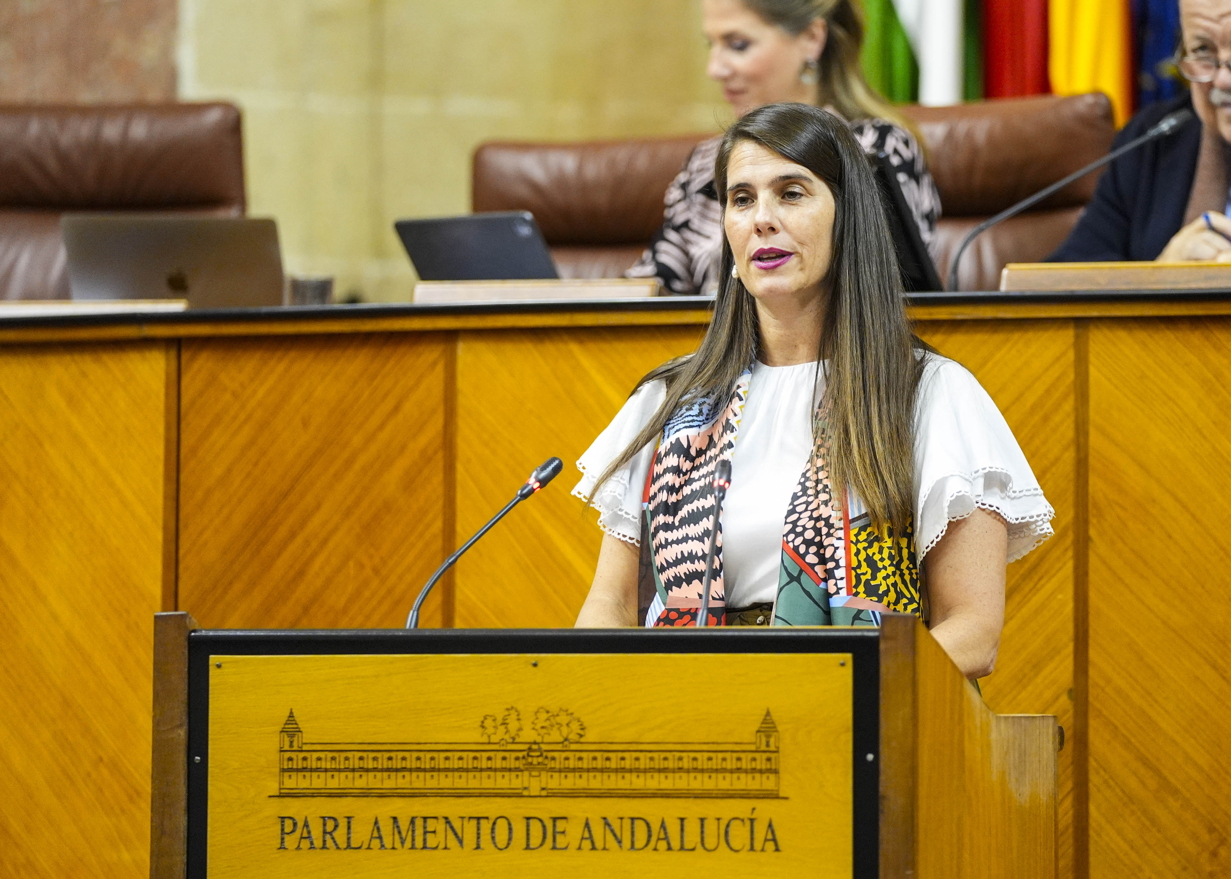 Para posicionar al Grupo Popular respecto del proyecto de ley, toma la palabra Araceli Cabello 