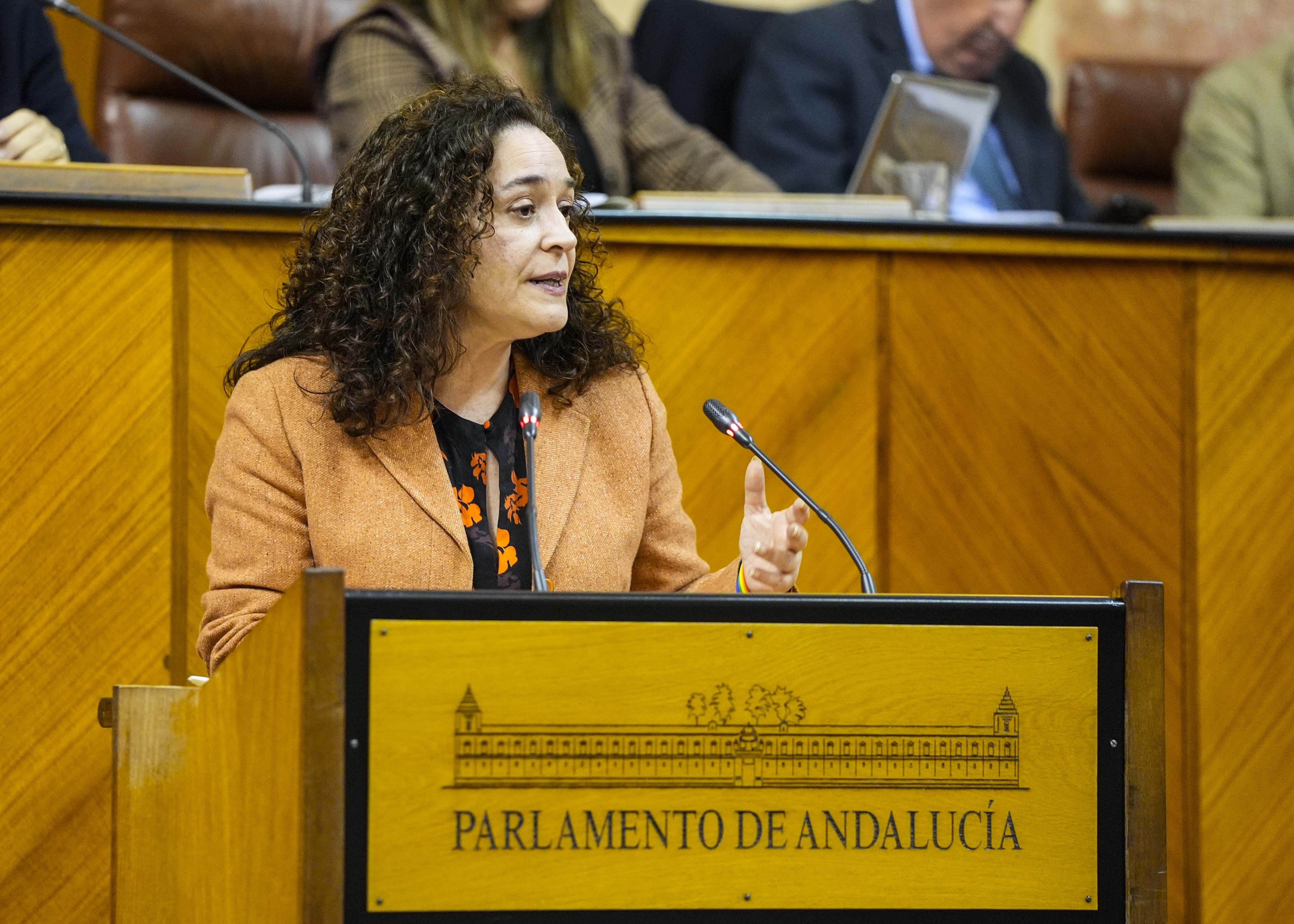 Inmaculada Nieto, portavoz del Grupo Por Andaluca, expresa el parecer de su grupo respecto de la iniciativa legislativa popular 
