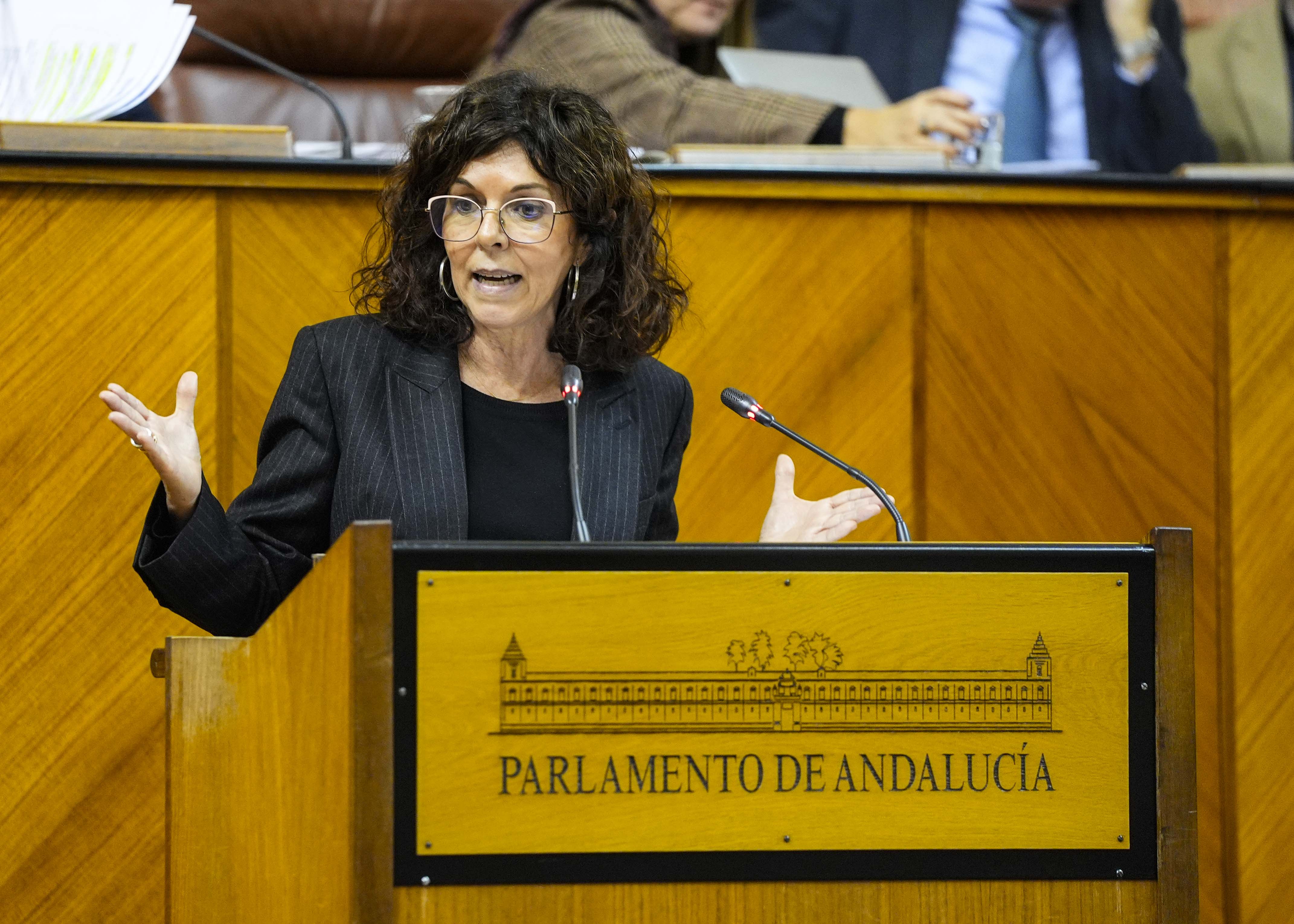  Turno de posicionamiento del Grupo Socialista a cargo de Mara ngeles Prieto