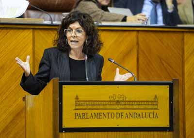  Turno de posicionamiento del Grupo Socialista a cargo de Mara ngeles Prieto