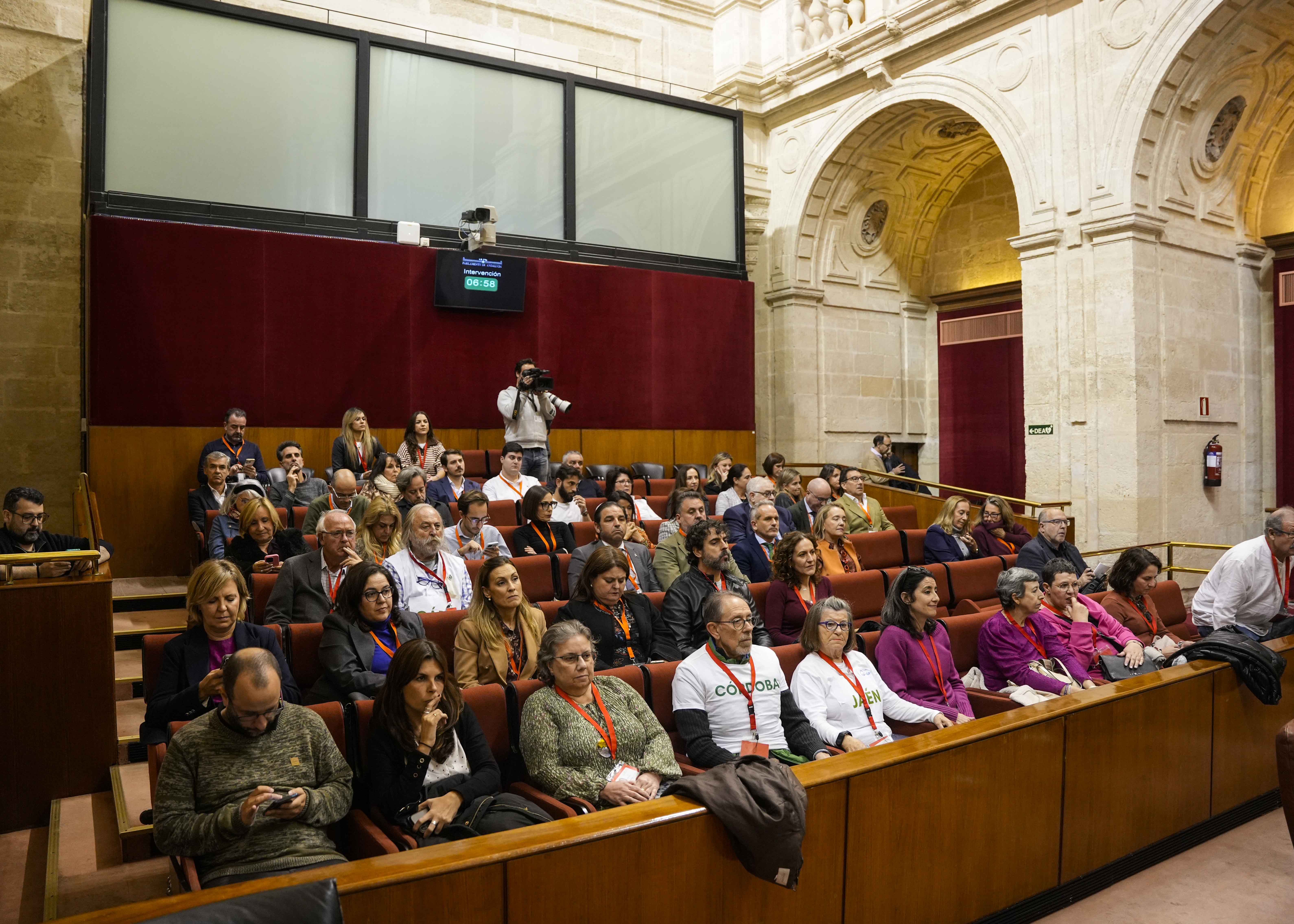 Pblico asistente al debate de la proposicin de ley de iniciativa legislativa popular de recuperacin de los niveles de calidad del sistema sanitario pblico en Andaluca  