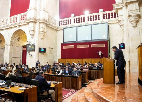  El portavoz del Grupo Popular, Toni Mart�n, se dirige a la C�mara desde la tribuna de oradores