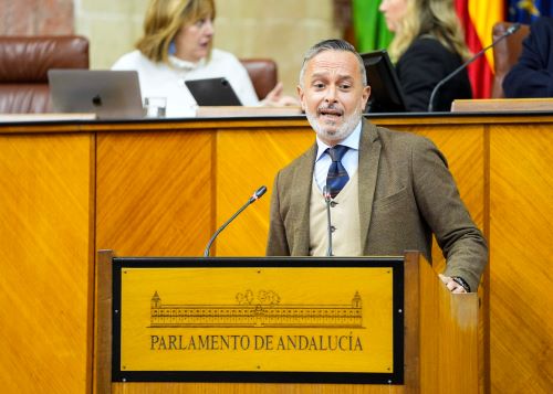  Rafael Recio toma la palabra para defender las propuestas de resoluci�n del Grupo Socialista