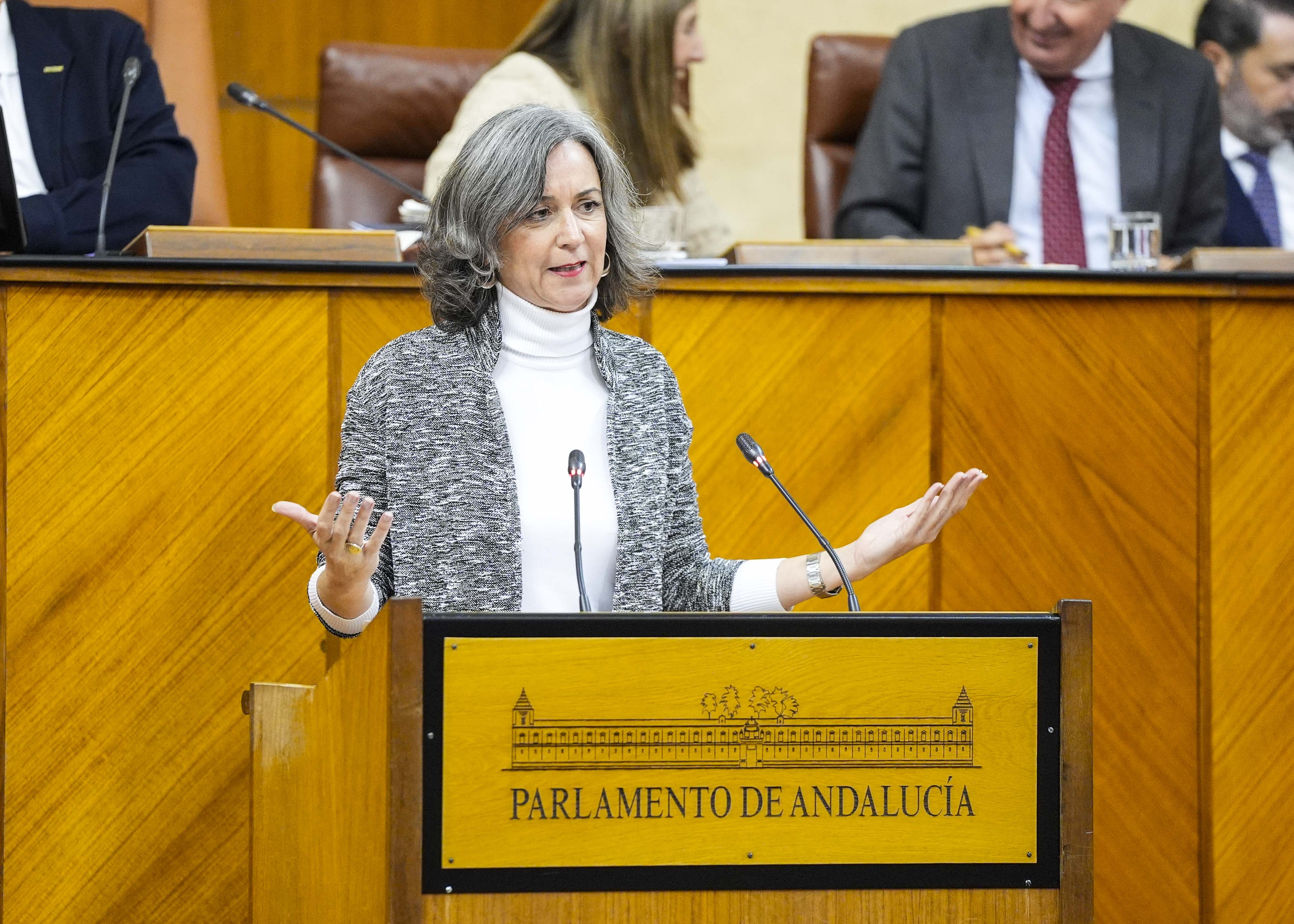   Miren Bego�e Iza toma la palabra en nombre del G.P. Mixto-Adelante Andaluc�a para pedir el voto positivo a sus propuestas de resoluci�n