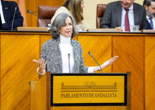   Miren Bego�e Iza toma la palabra en nombre del G.P. Mixto-Adelante Andaluc�a para pedir el voto positivo a sus propuestas de resoluci�n
