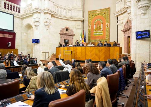 El Pleno del Parlamento vota las propuestas de resoluci�n de los diferentes grupos parlamentarios