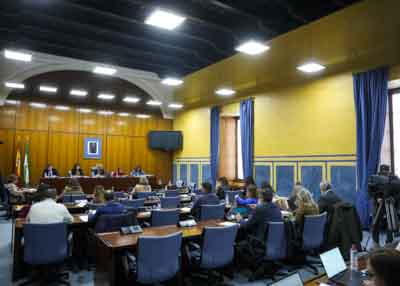 Vista general de la Comisin sobre Derechos y Atencin a las Personas con Discapacidad en la sesin de esta tarde