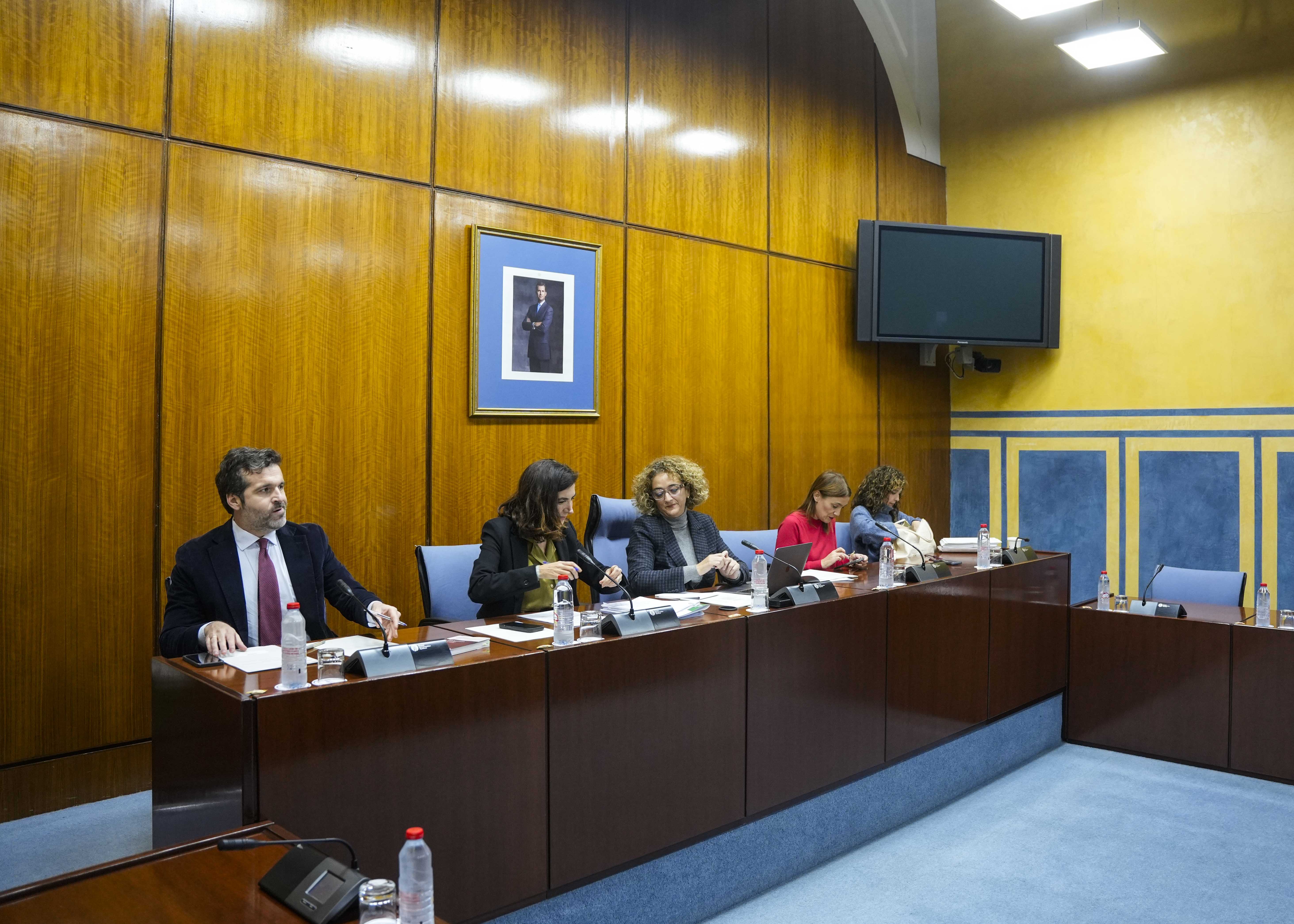 Mesa de la Comisin sobre Derechos y Atencin a las Personas con Discapacidad con la consejera de Empleo, Roco Blanco