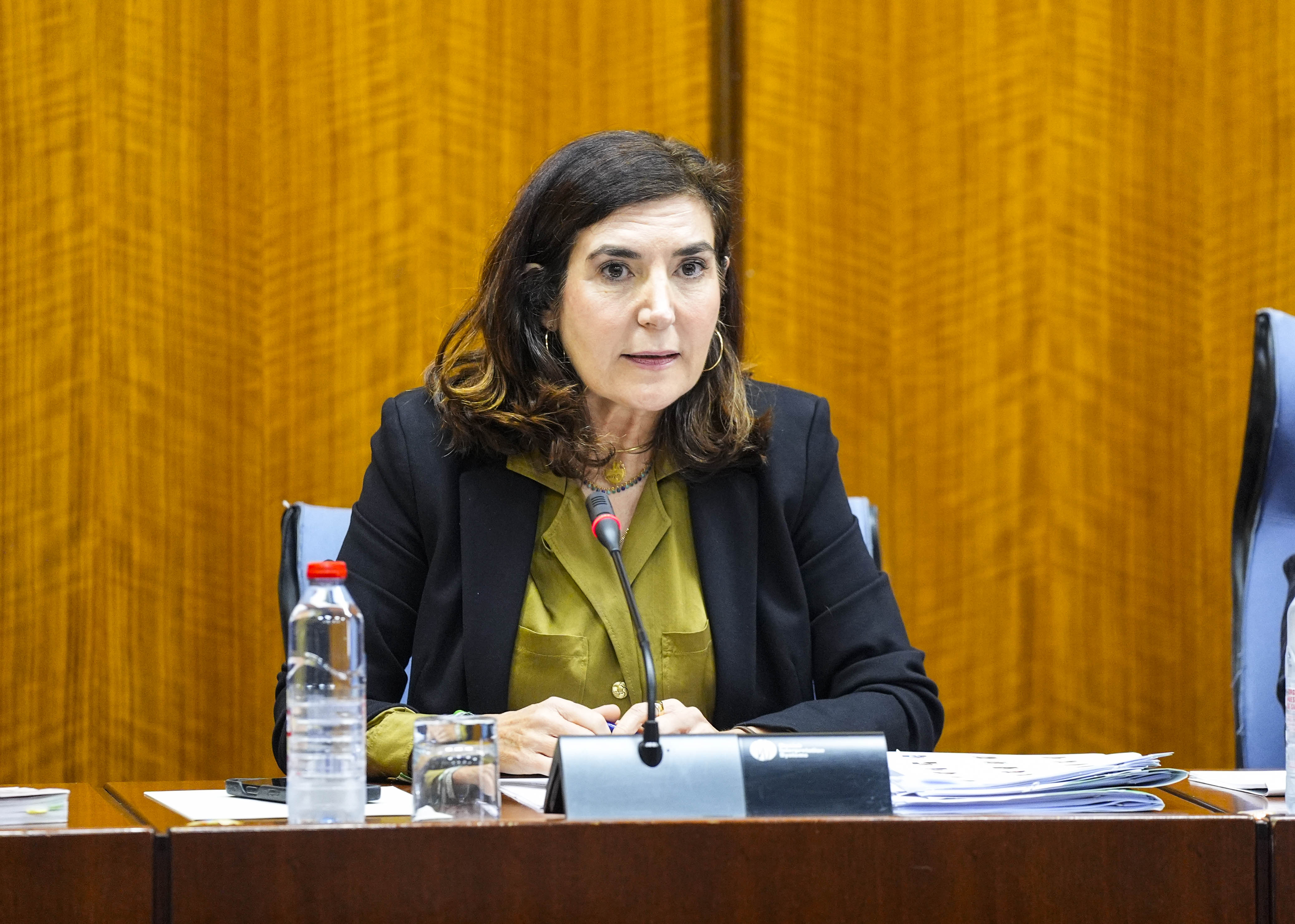 La consejera de Empleo, Empresa y Trabajo Autnomo, Roco Blanco, comparece en la Comisin de Discapacidad