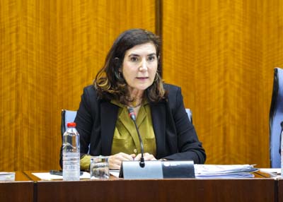 La consejera de Empleo, Empresa y Trabajo Autnomo, Roco Blanco, comparece en la Comisin de Discapacidad