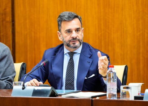  Alejandro Cardenete, presidente de la Cmara de Cuentas de Andaluca, presenta ante la comisin el Informe de Fiscalizacin de las medidas de promocin de la igualdad en las polticas de empleo