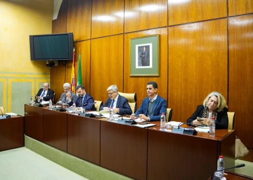  Mesa de la comisin de Empleo, Empresa y Trabajo Autnomo