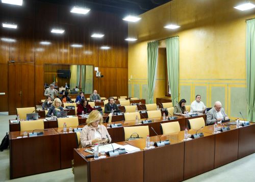  Miembros de la comisin de Empleo, Empresa y Trabajo Autnomo al inicio de la sesin