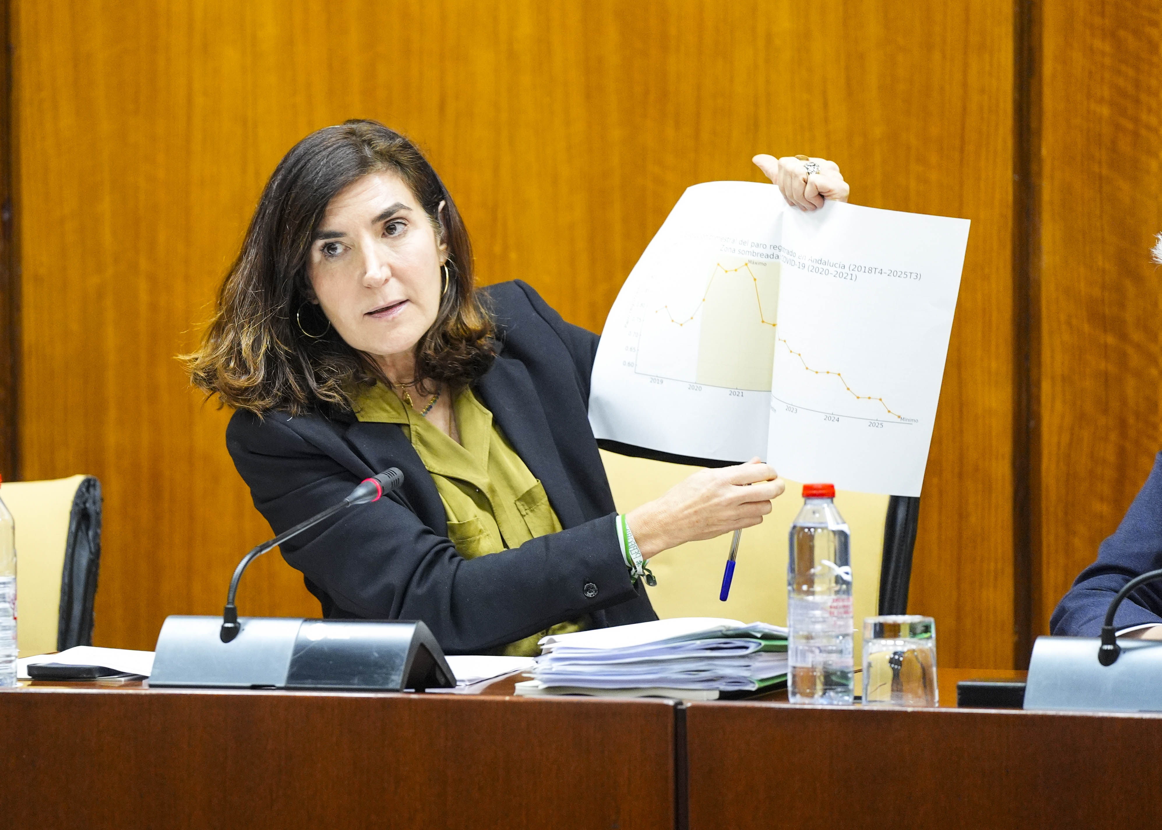 Roco Blanco, consejera de Empleo, Empresa y Trabajo Autnomo, durante su comparecencia 
