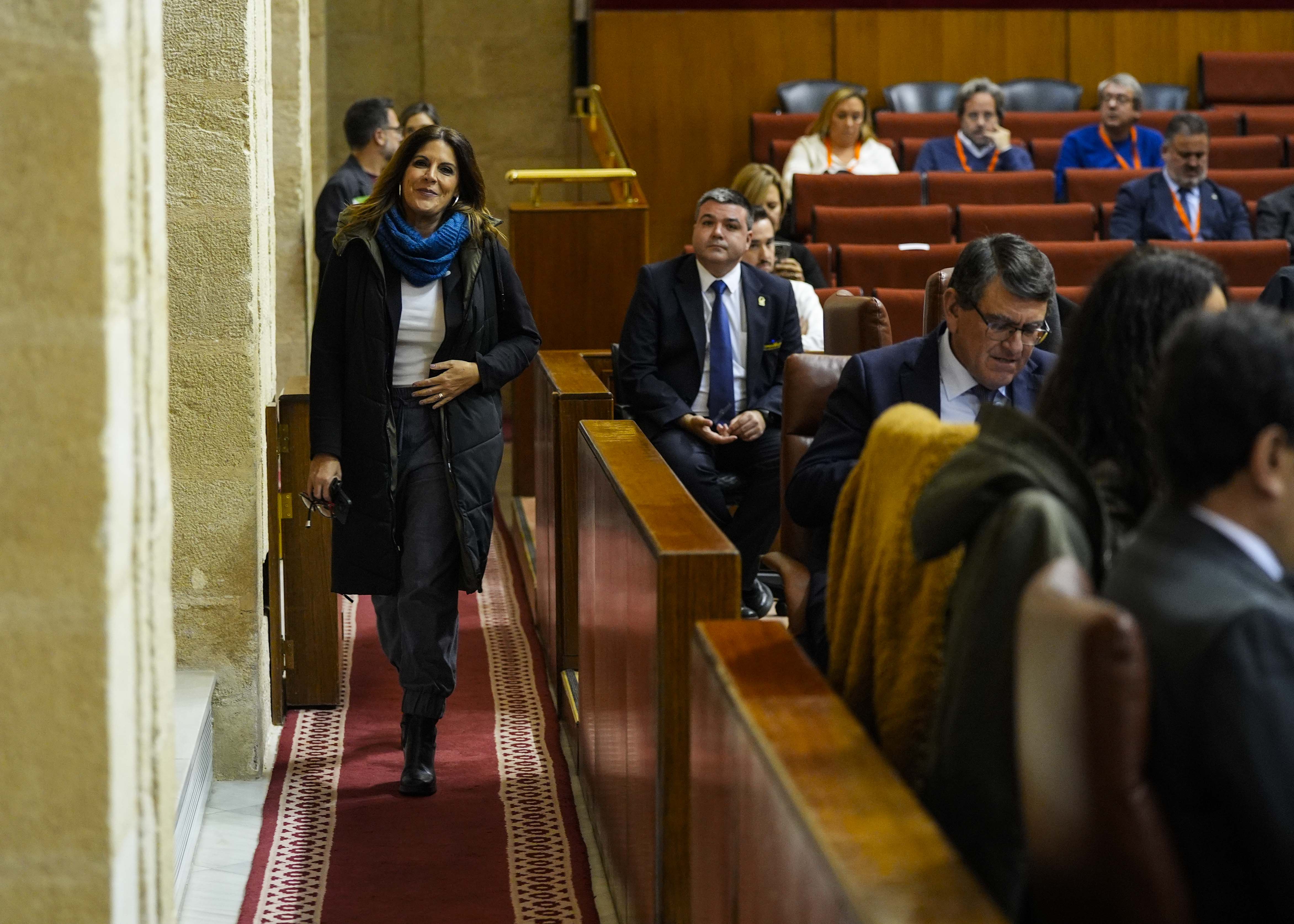    La portavoz adjunta del PSOE, Mara de los ngeles Frriz