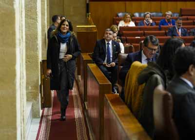    La portavoz adjunta del PSOE, Mara de los ngeles Frriz