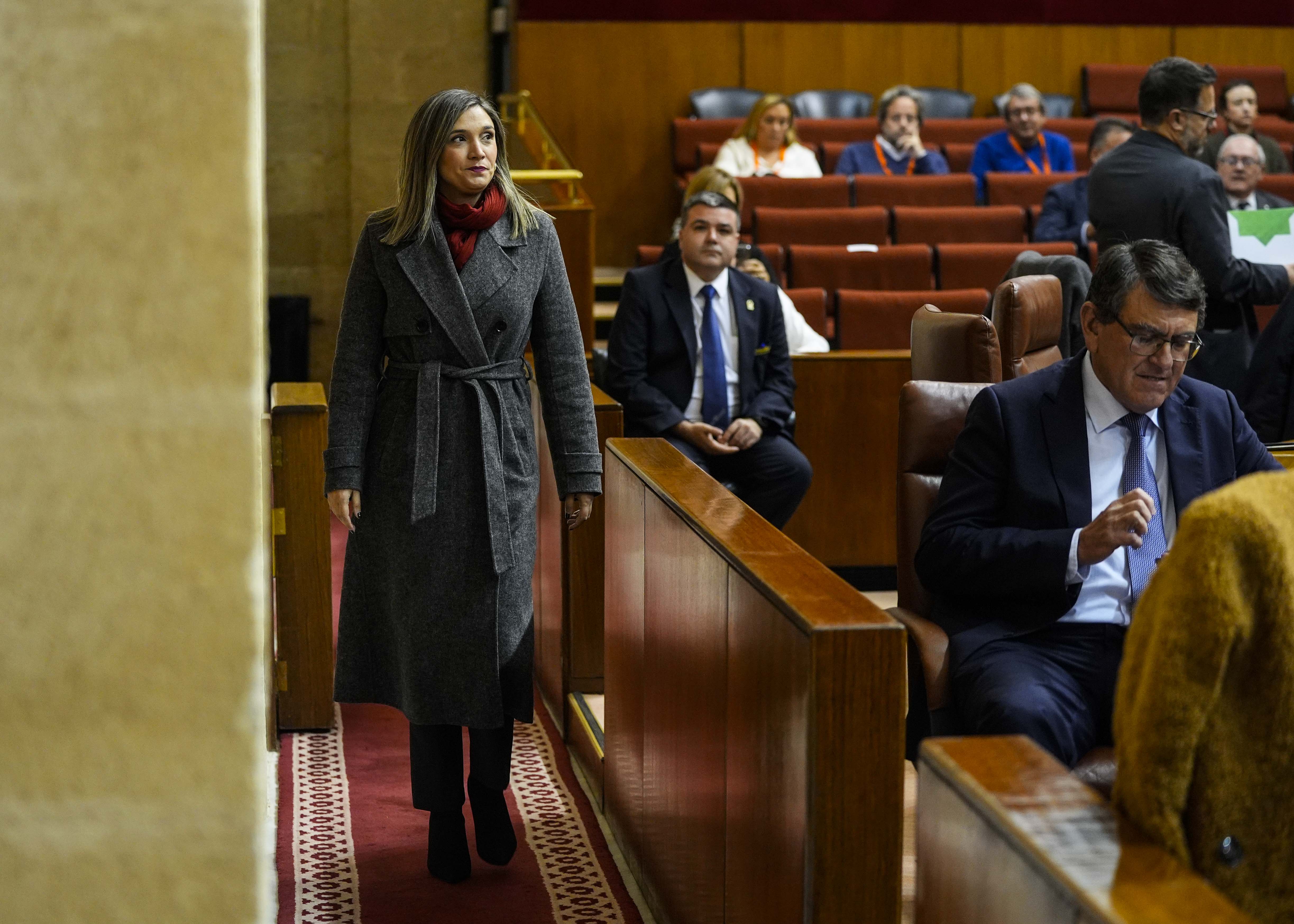    Mara Mrquez, portavoz del G.P. Socialista, en su entrada al pleno