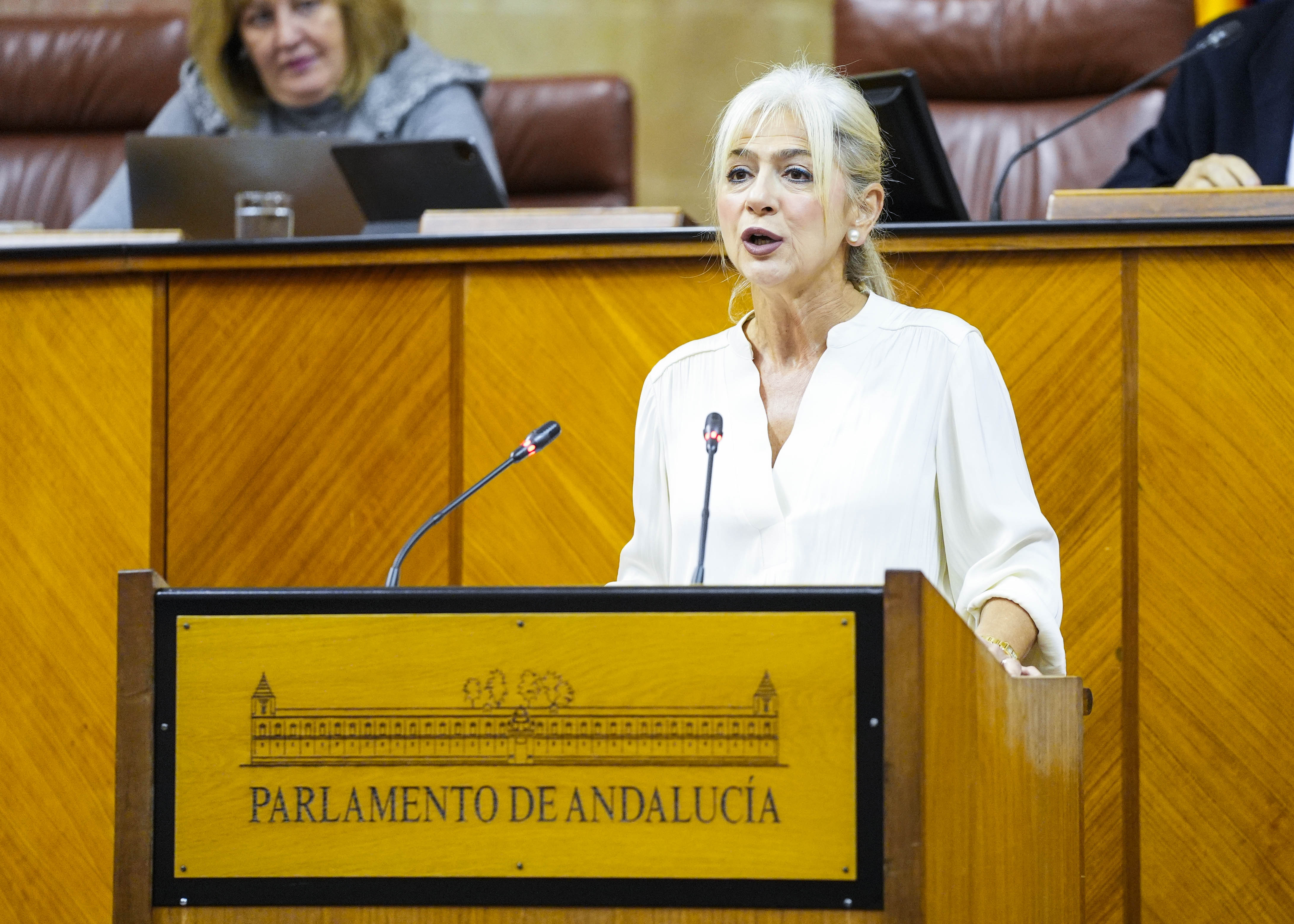  Patricia del Pozo, consejera de Cultura y Deporte, contesta a la interprelacin