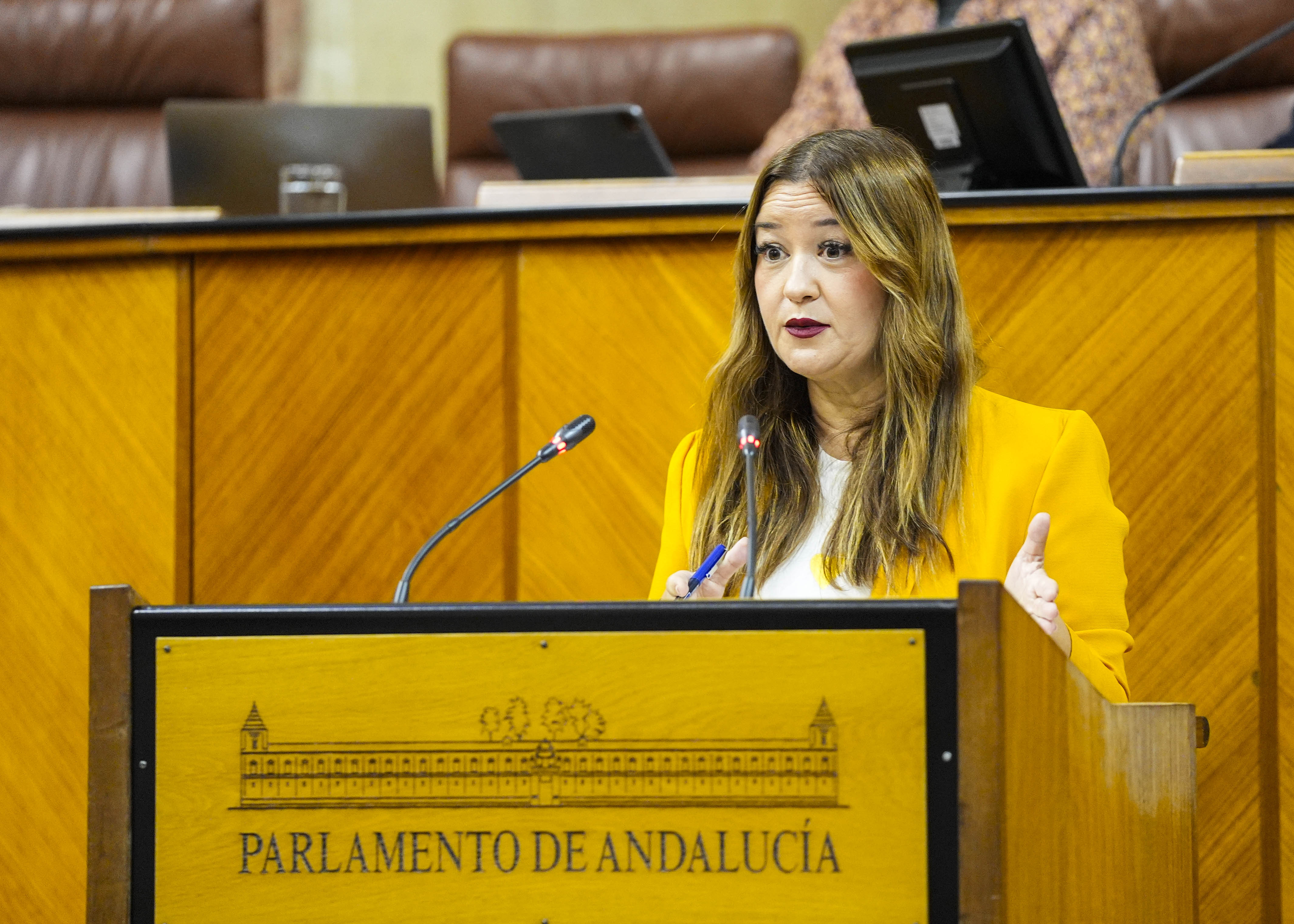 En nombre del Grupo Socialista toma la palabra Vernica Prez 