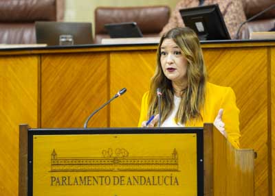 En nombre del Grupo Socialista toma la palabra Vernica Prez 