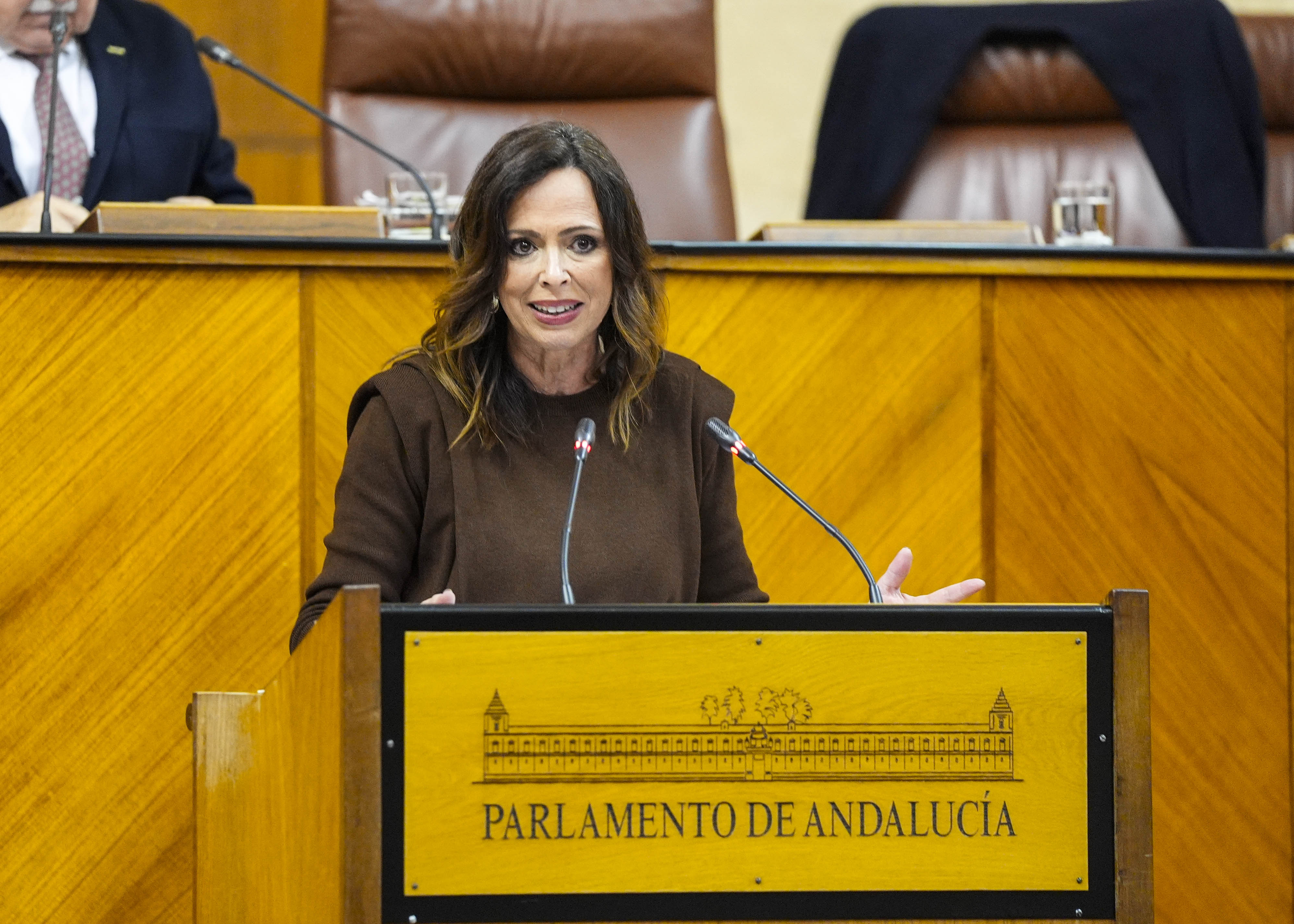  Roco Daz, consejera de Fomento, Articulacin del Territorio y Vivienda, durante el debate del Proyecto de Ley de Vivienda 