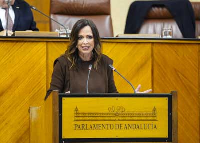  Roco Daz, consejera de Fomento, Articulacin del Territorio y Vivienda, durante el debate del Proyecto de Ley de Vivienda 