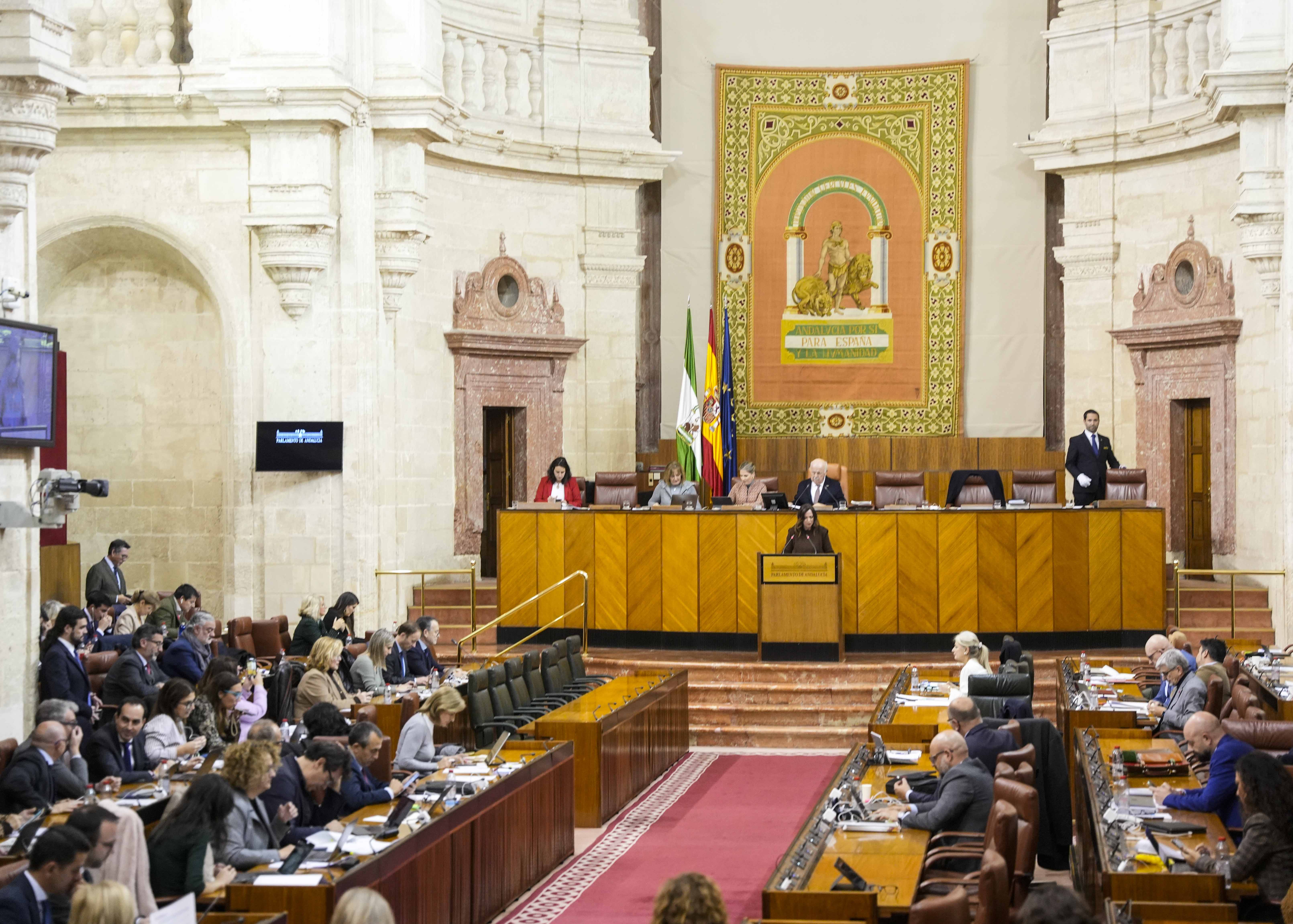 El Pleno del Parlamento de Andaluca escucha a la consejera de Fomento, Roco Daz 