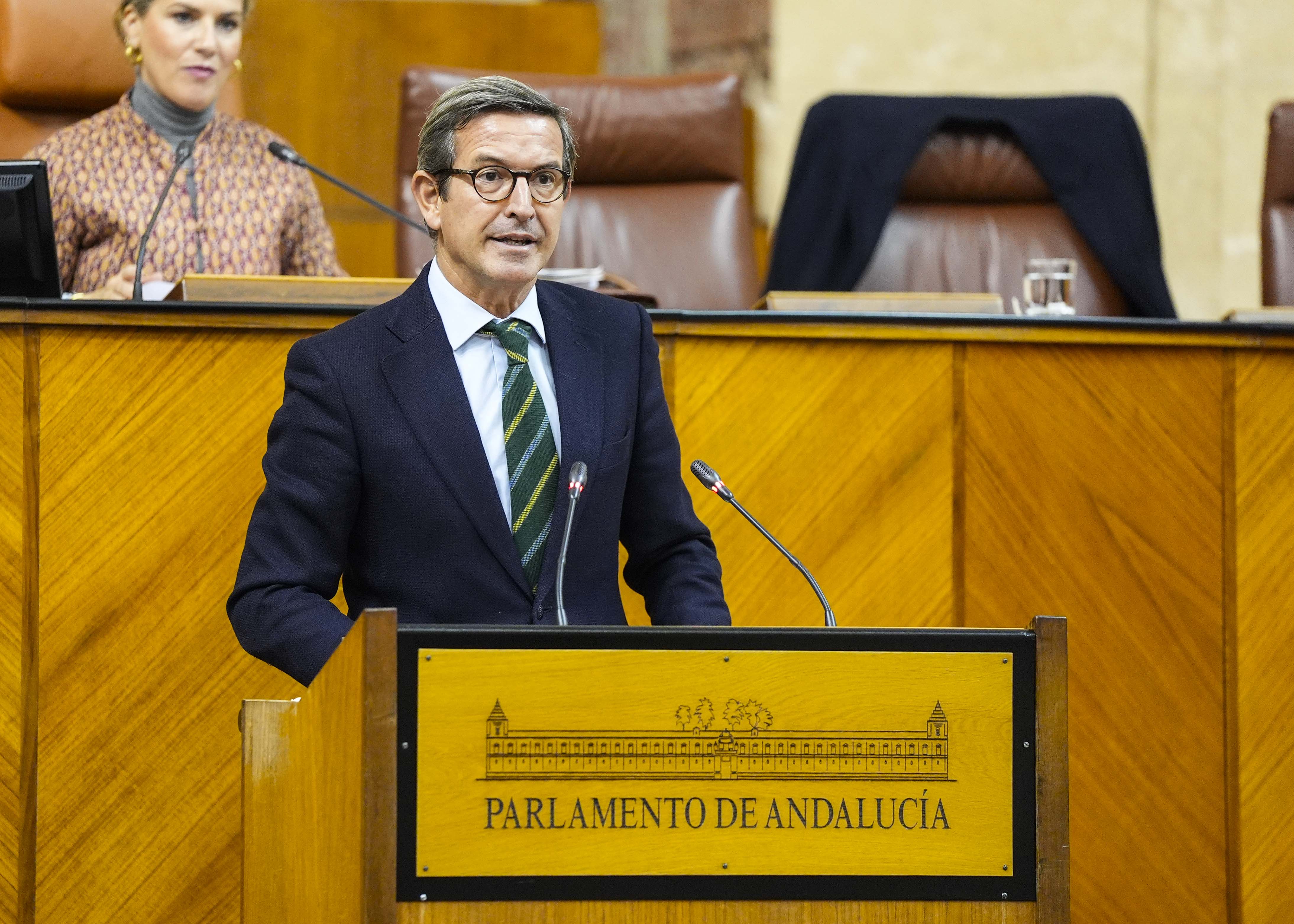 Jorge Paradela, consejero de Industria, Energa y Minas, interviene en el debate final del Proyecto de Ley de espacios productivos para el fomento de la industria en Andaluca  