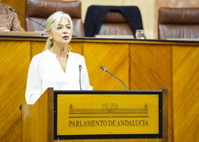 Patricia del Pozo, consejera de Cultura y Deporte, inicia el debate de totalidad del Proyecto de Ley de Patrimonio Cultural de Andaluca  
